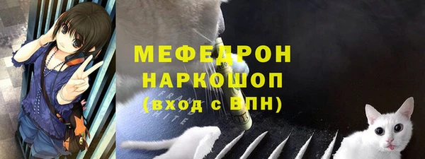 сатива Новозыбков
