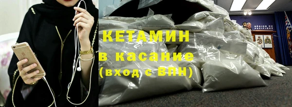 сатива Новозыбков