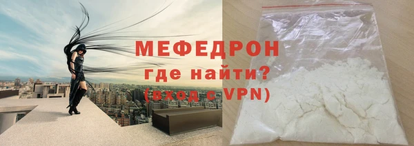 сатива Новозыбков