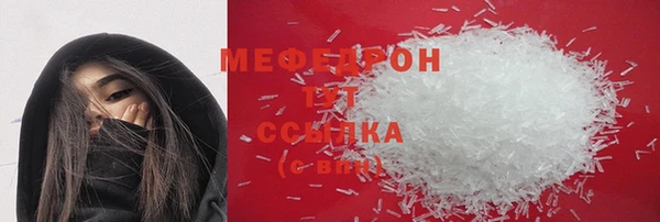 сатива Новозыбков