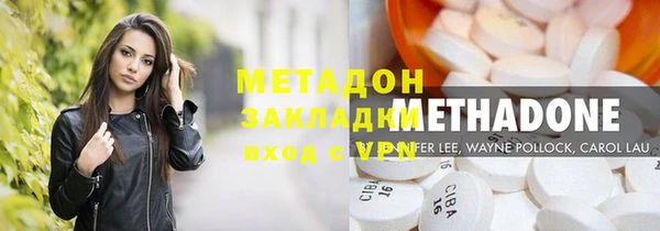 сатива Новозыбков
