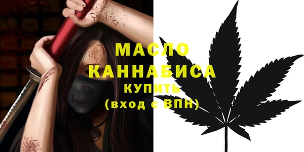 сатива Новозыбков