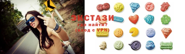 сатива Новозыбков