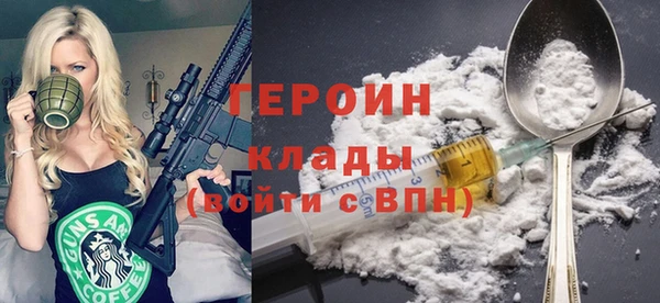 сатива Новозыбков