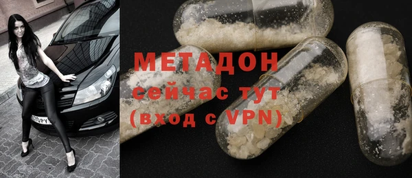 сатива Новозыбков