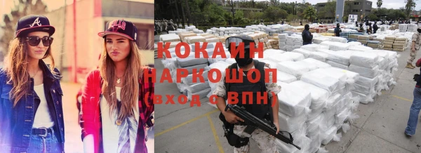 сатива Новозыбков