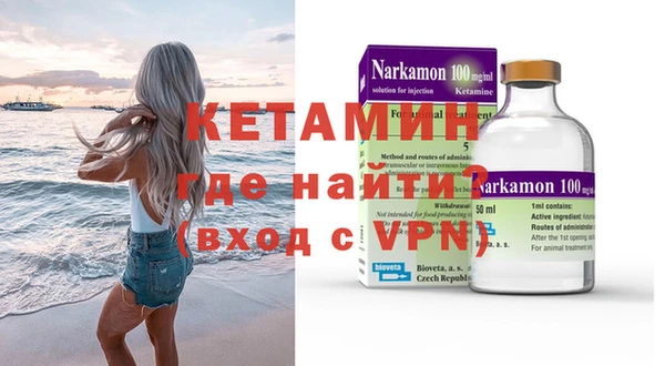 сатива Новозыбков