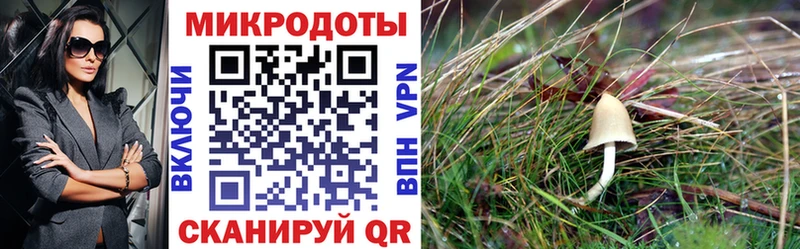 Псилоцибиновые грибы MAGIC MUSHROOMS  Энгельс 