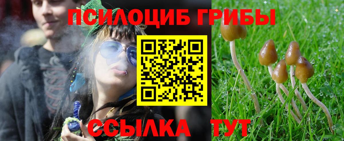 Псилоцибиновые грибы Magic Shrooms  Вход с VPN  Энгельс  Псилоцибиновые грибы GOLDEN TEACHER 