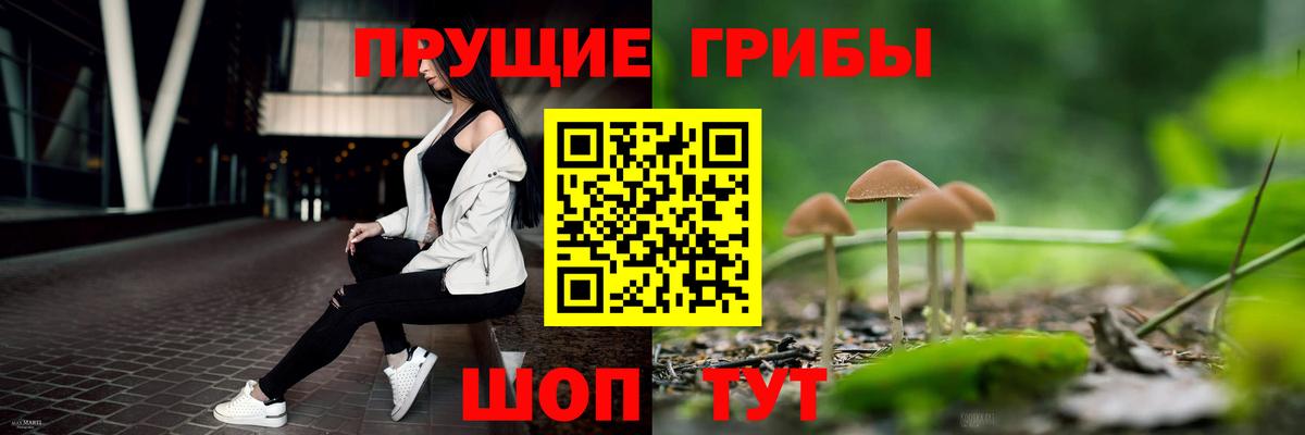 Псилоцибиновые грибы мицелий  Энгельс 